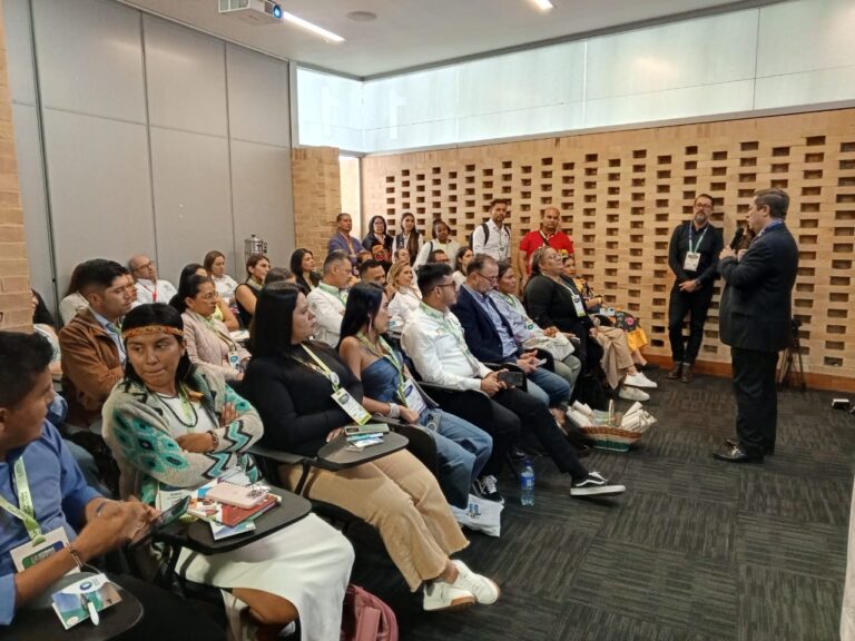 WhatsApp Image 2024-02-29 at 10.55.57 AM