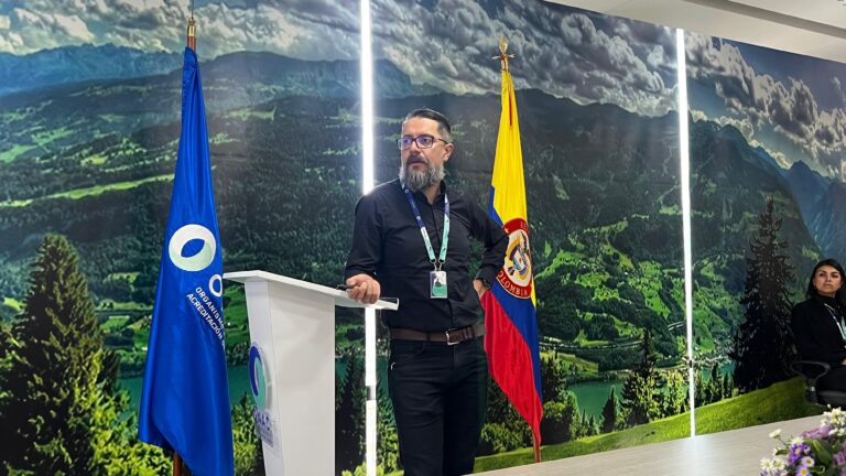 WhatsApp Image 2024-10-23 at 11.20.00 AM