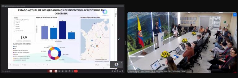 WhatsApp Image 2024-11-06 at 9.15.26 AM