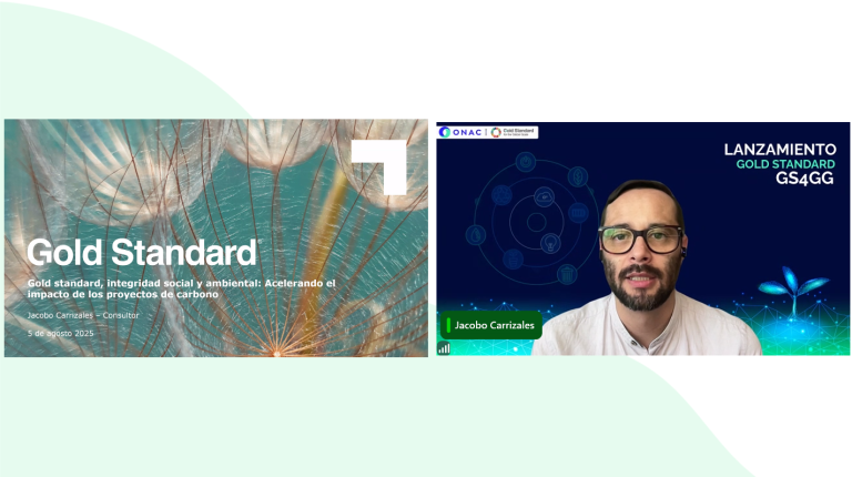 Captura de pantalla 2025-08-05 091839