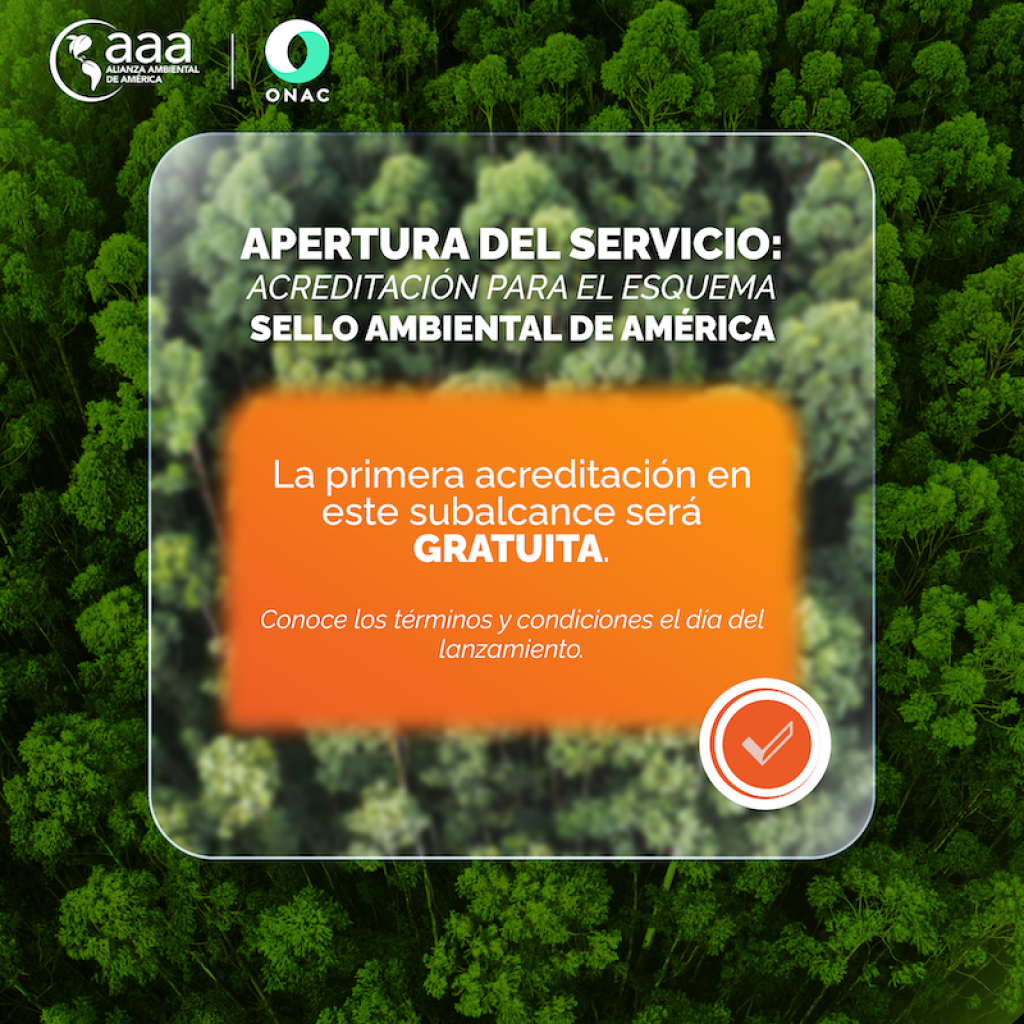Lanzamiento AAA_sección_